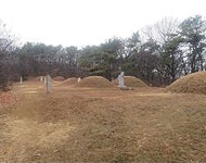 [인천의 문화유산] 평산 신씨 종중 묘역
