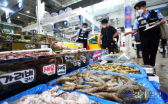 수산물품질관리원 수원농산물도매시장 원산지 단속[포토뉴스]