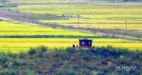 북한군 초소 너머... 속내가 궁금해 [포토뉴스]