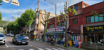 인천 서구, 민원 들어온 가로수만 '가지치기' 빈축…서구 