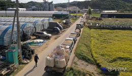 화성시 가축분료처리장 | 공공비축미 수매 한창 [포토뉴스]