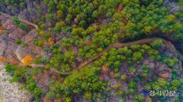 경기둘레길 [포토뉴스]