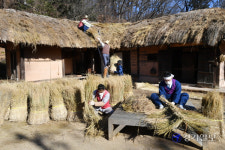 민속촌 이엉잇기 [포토뉴스]