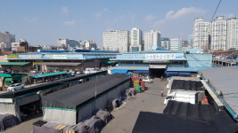 [경기이슈] 신선해진 수원농수산물도매시장, 소비자 눈길 사로잡는다