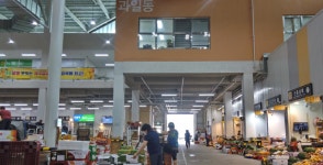 [경기이슈] 신선해진 수원농수산물도매시장, 소비자 눈길 사로잡는다