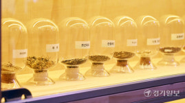 개관 앞둔 인천업사이클에코센터 토종씨앗 공유 도서관 [포토뉴스]