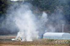 산불 위험 속에 논밭태우는 주민 [포토뉴스]