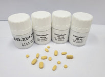 지엔티파마, 치매신약 후기 임상 1상 투약 완료