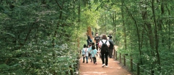 [2022 경기도 박물관·미술관 다시보기] 9. 포천 ‘국립산림박물관’