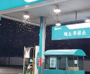 남양주 ‘동양하루살이’와의 전쟁