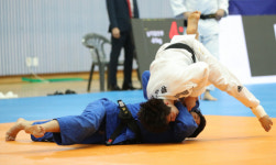 전국 고교·성인 선수 총출동…양평이 유도로 뜨거워진다