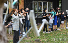 제1회 인천 깃대종 저어새 생태관광 [포토뉴스]
