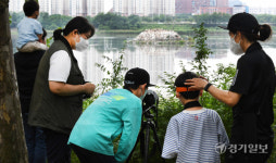 제1회 인천 깃대종 저어새 생태관광 [포토뉴스]