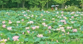 [2022 경기도 박물관·미술관 다시보기] 17. 양평 ‘세미원 연꽃박물관’