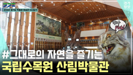 [영상] 2022 경기도 박물관·미술관 다시보기ㅣ 다섯 번째, 국립수목원 산림박물관