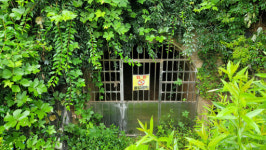 일본군이 만든 평택 부용산 방공호 토사 ‘줄줄’