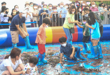 흥겨운 송산포도축제 [포토뉴스]