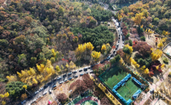 입동 하루 앞둔 부평 원적산공원 [포토뉴스]