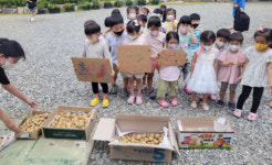 [시흥시 ‘도시농업 천국’] 아파트 숲속 ‘힐링 텃밭’… 농사 재미 쏠쏠~