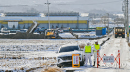 AI항원 검출 안성 산란계농장, 긴급 살처분 [포토뉴스]