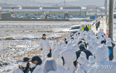 AI항원 검출 안성 산란계농장, 긴급 살처분 [포토뉴스]