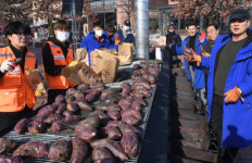 여주 군고구마로 따뜻한 정 나눠요 [포토뉴스]