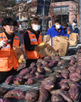 여주 군고구마로 따뜻한 정 나눠요 [포토뉴스]