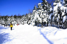 눈꽃과 은빛 능선, 이번엔 하얀 낭만
