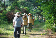 천년고찰서 인생 쉼표 나를 찾는 힐링 스테이