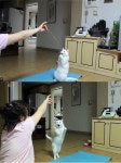 어머냥 고양이…원더걸스 소희보다 더 깜찍하게 어머나~ 포즈