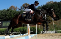 [화보] 제3회 연합회장기 겸 과천승마대회