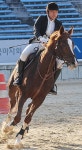 [화보] 제3회 연합회장기 겸 과천승마대회