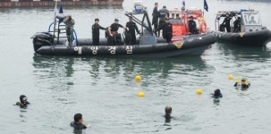 수중 정화활동