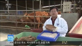 한 축산농가 기적의 사료 개발