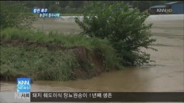 합천 폭우, 농경지 침수사태