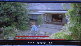 BIFF) 소수자를 위한 영화제