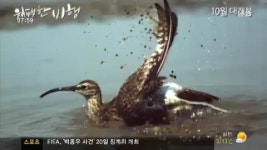 수요 문화