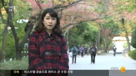 건강 365- 치매