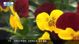 꽃향기 가득 봄내음 물씬