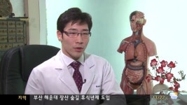 건강365(무릎 통증 한방 치료)