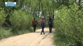 봄철 꽃가루 알레르기 주의