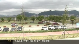 죽어가는 메타세콰이어길