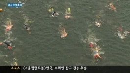 수영으로 더위 날려