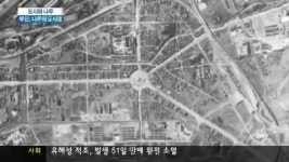 헐벗었던 부산, 나무들이 늘어난다.