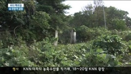 바다백리길 타고 섬 관광객 급증
