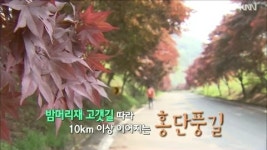 단풍 여행지 - 지리산 밤머리재