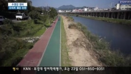 구청이 수영강 생태훼손 논란