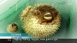 주말앱- 통영 수산과학관