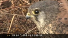생태계 무시하는 생태통로, 에코브릿지