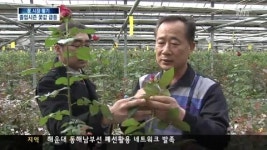 봄꽃 출하 성수기